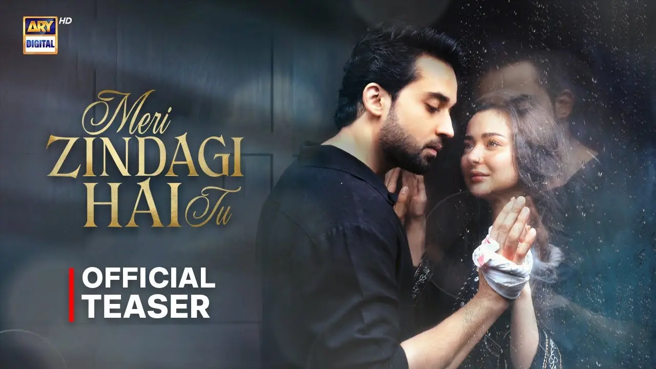 Meri Zindagi Hai Tu