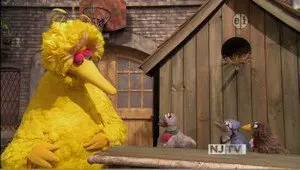 The Good Birds Club