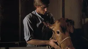 The Calf