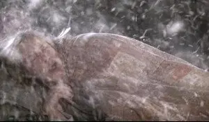 No One to Watch Over Me (1)