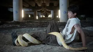 Snakes Aren't More Important than People