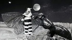 Invasion
