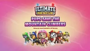 Ultimate Rescue: Pups Save the Mountain Climbers