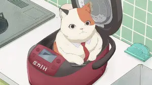 MuMu and the Rice Cooker