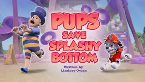 Pups Save a Splashy Bottom