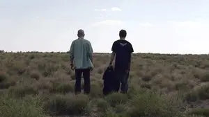 Bit by a Dead Bee