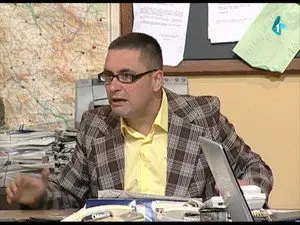233 Stršljenovi
