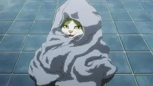 Commeowndo