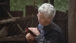 The Chicken Thief