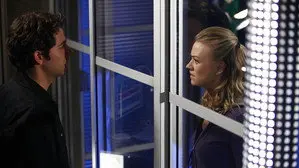 Chuck Versus the American Hero