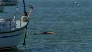 Death by Water (2)