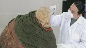 The Alien Evolution
