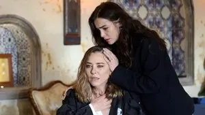 Episode 28