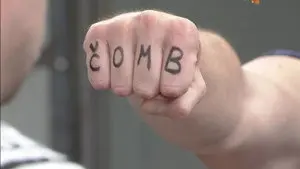745 Čomb e