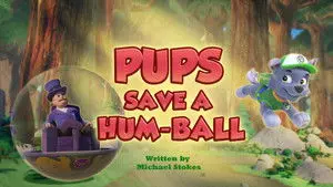 Pups Save a Hum-Ball