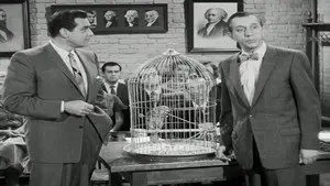 The Case of the Perjured Parrot