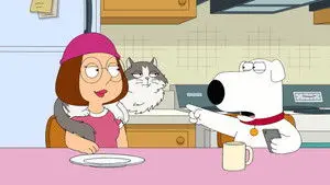 Family Cat