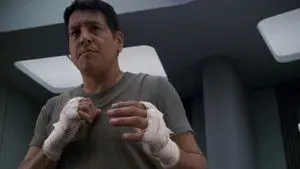 The Fight