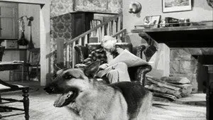 The Case of the Lazy Lover