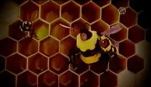 Baby Bear is Afraid of Bees