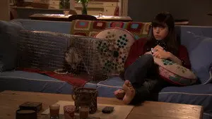 The Possum